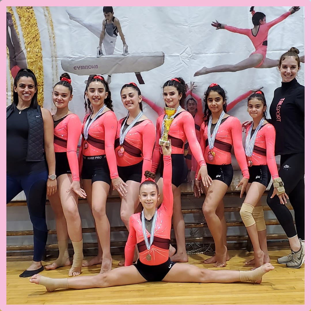 התעמלות מכשירים