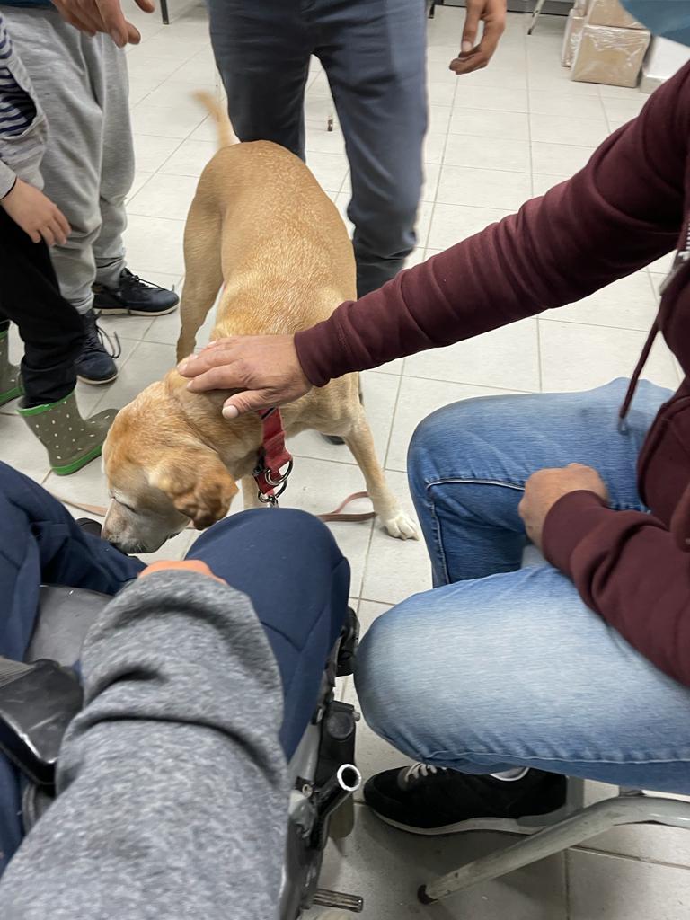המשתתפים ילמדו ערכים וכישורי חיים בעזרת מתודה של אילוף כלבים