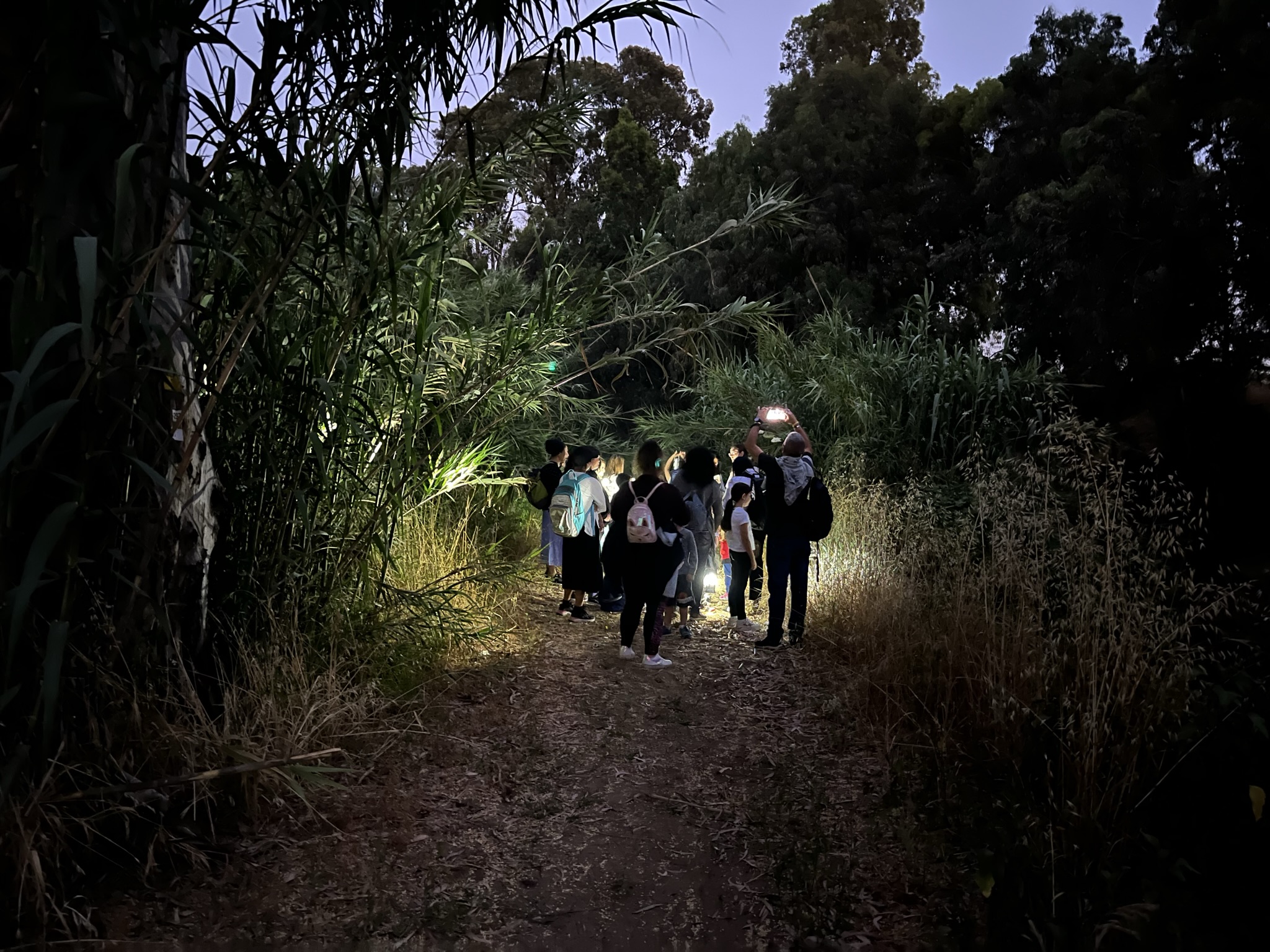 המשתתפים ראו ושמעו את בעלי החיים שמתכוננים ללילה