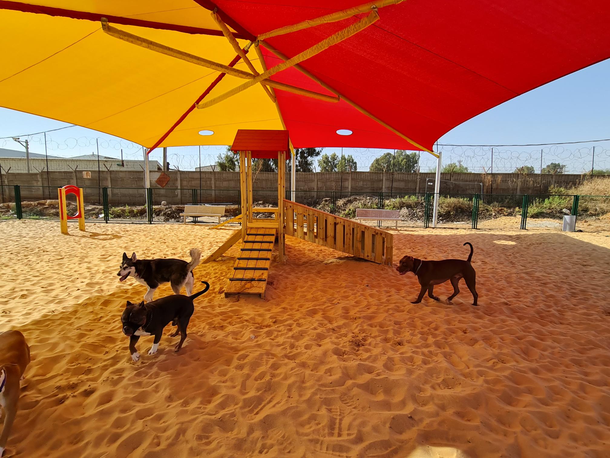 בגינה הוצבו שלל מתקני משחק עבור הכלבים