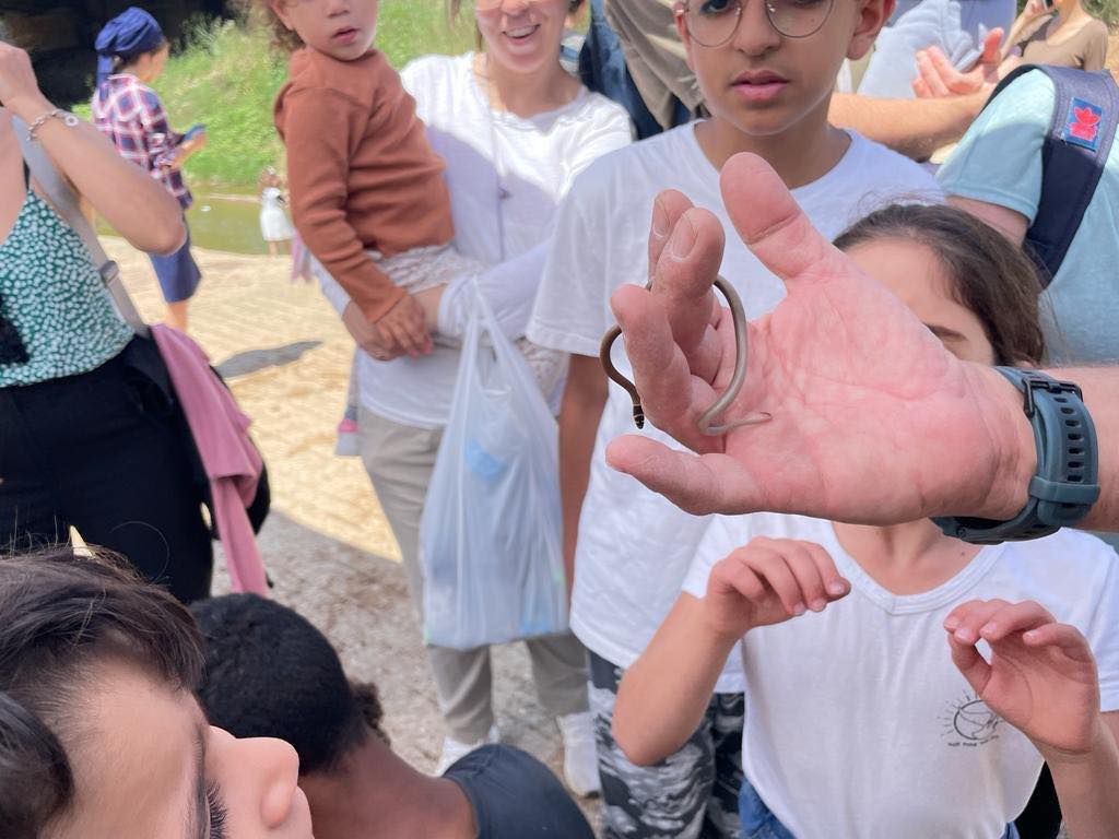 הסיור התקיים במסגרת "קרנבל בנחל" – פסטיבל הנחלים של החברה להגנת הטבע המתקיים בנחלים הסמוכים לרשויות מקומיות ומעודד את התושבים לקחת חלק פעיל בהיכרות עם תוואי הנחלים ושמירה על הטבע, תוך זמן איכות משפחתי. באופן זה מעודדת החברה להגנת הטבע בשיתוף עם הרשויות המקומיות את שימור וטיפוח הנחלים בסביבתן ובארץ כולה.