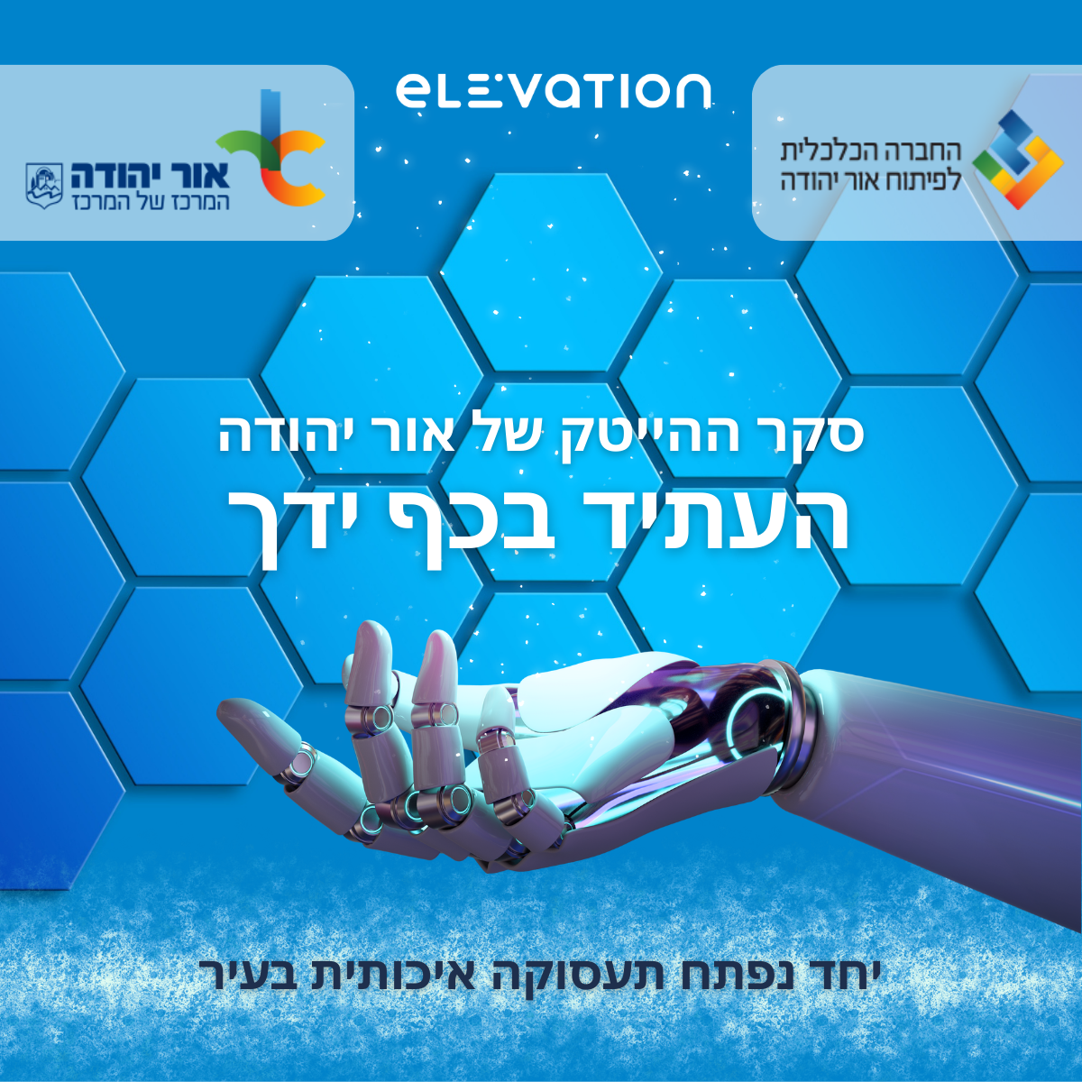 מידע טקסטואלי מתחת לתמונה
