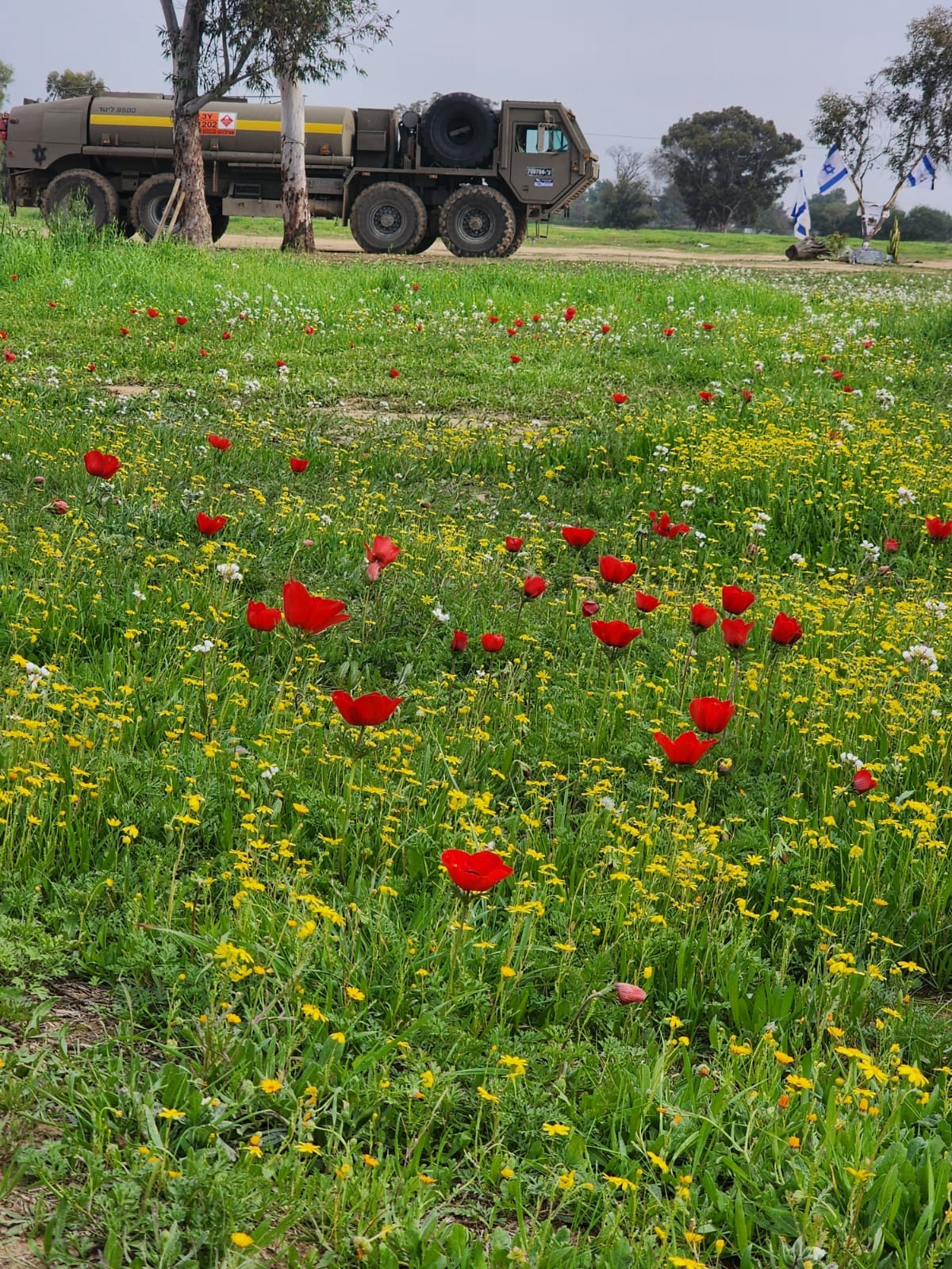 ו החובה המוסרית שלנו כחברה חפצת חיים.