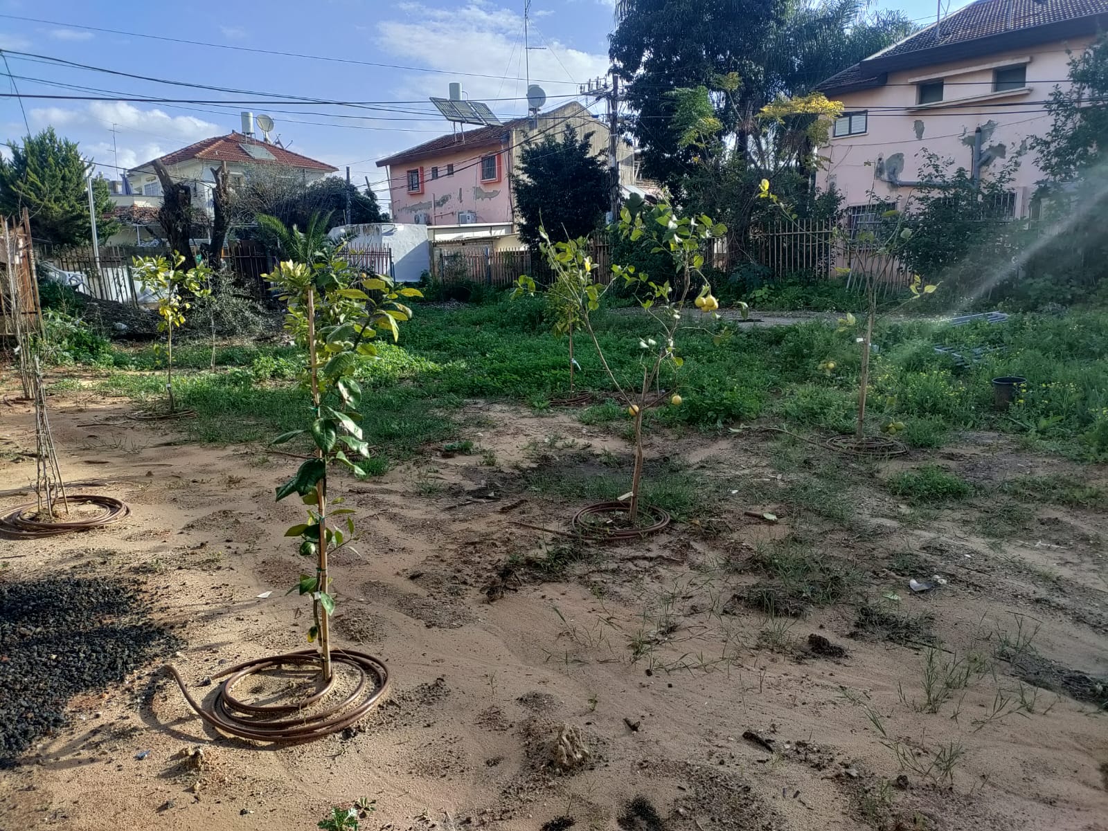 צילומים: דוברות עיריית אור יהודה