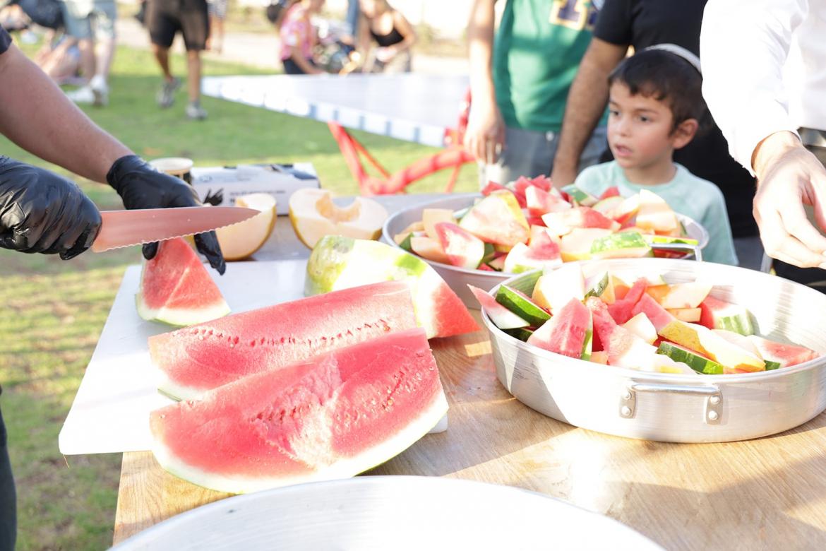 צילומים: סטודיו ישראל