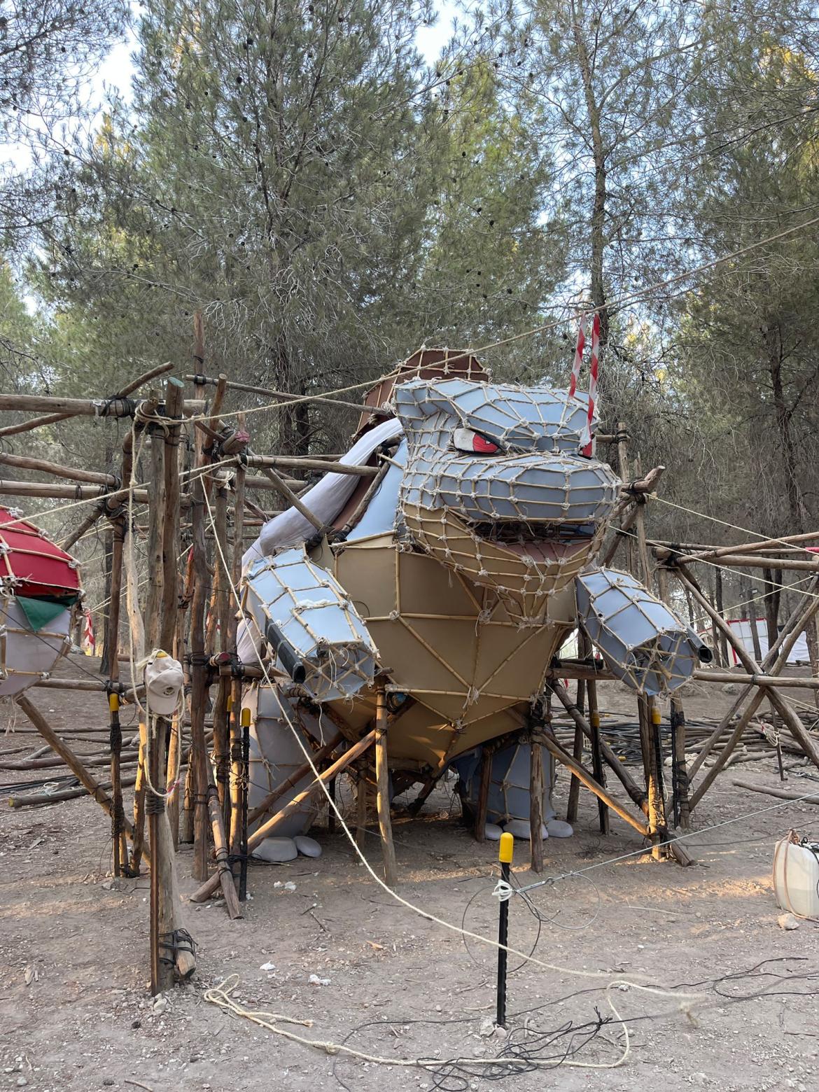 הגיעה אתמול (רביעי)