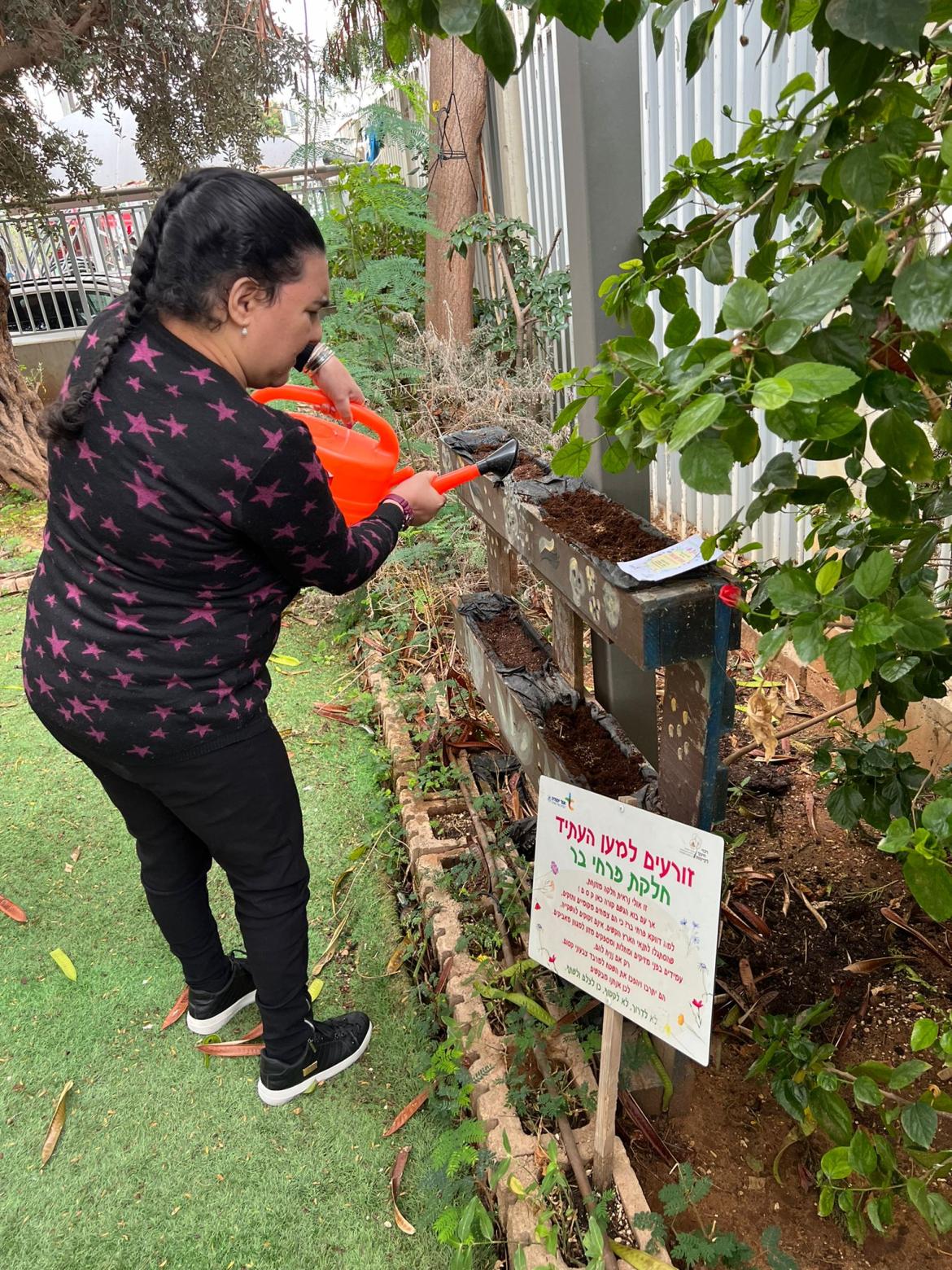 מלווה במפגשי 