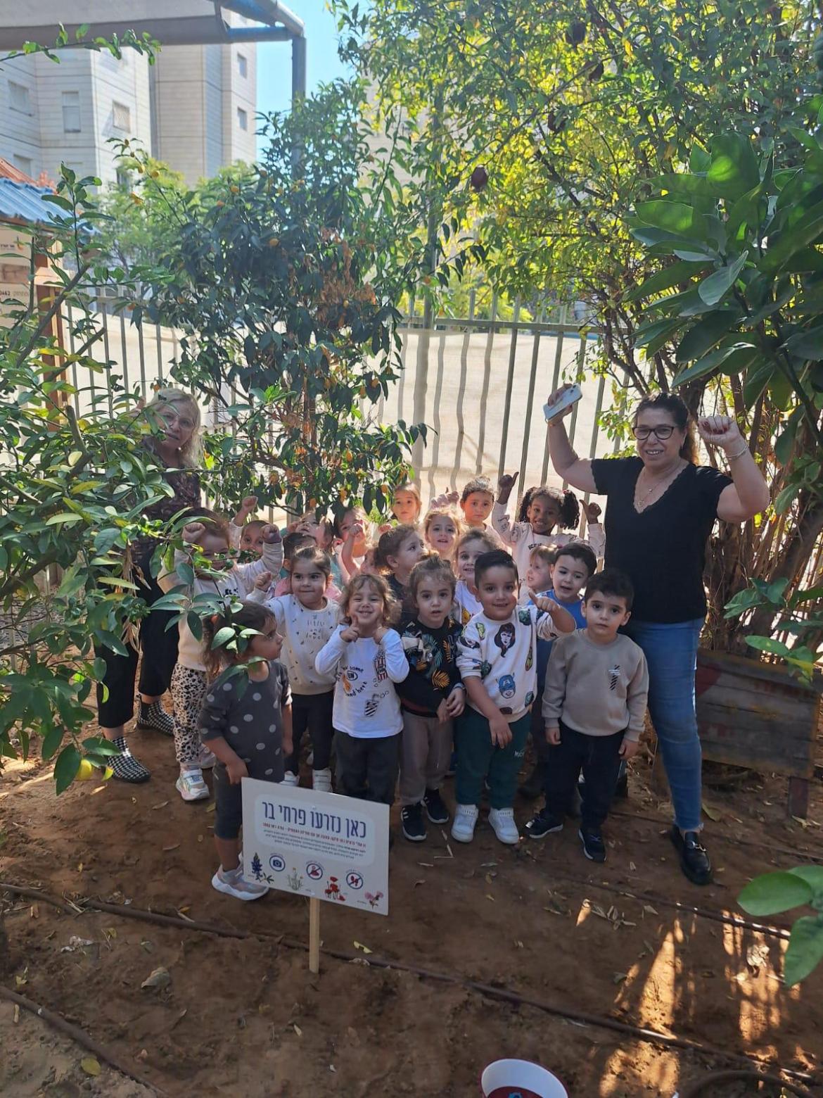 הפעילות עצמה