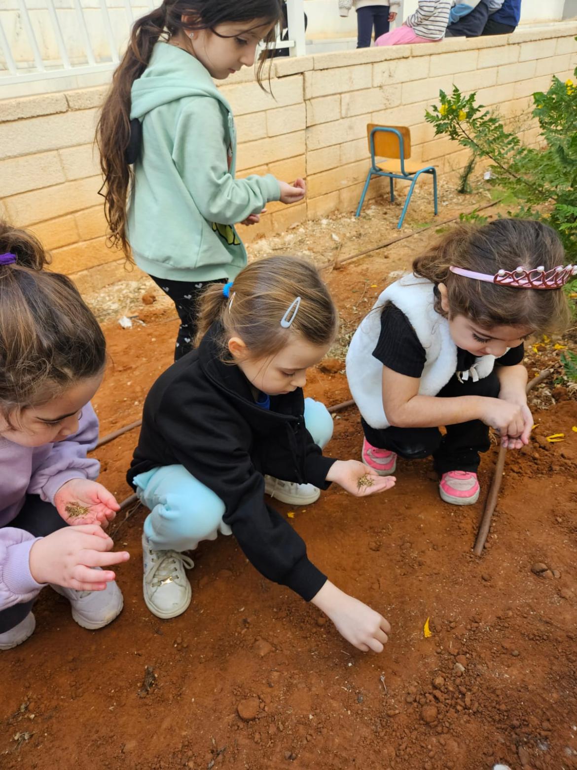  לטבע המקומי