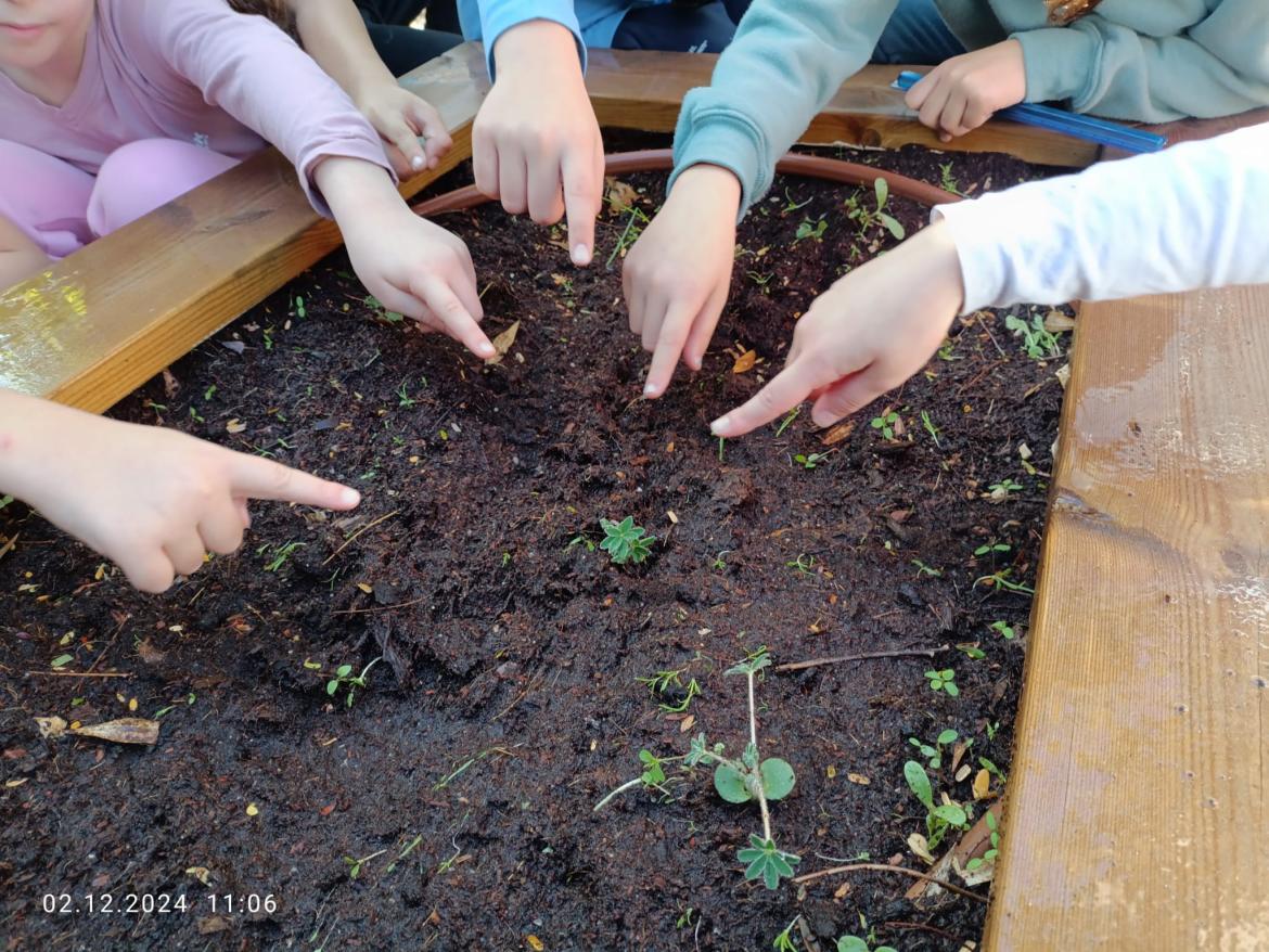  ואגף החינוך