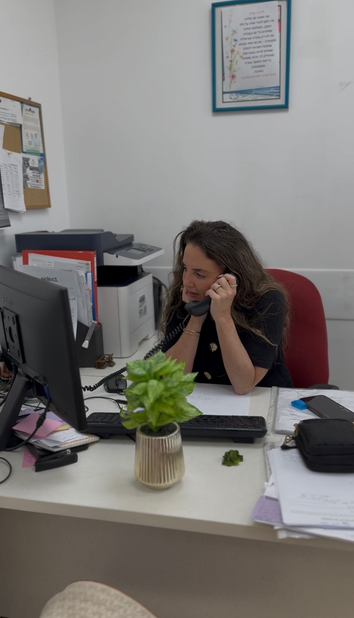 אזרחים ותיקים שאגת הארי