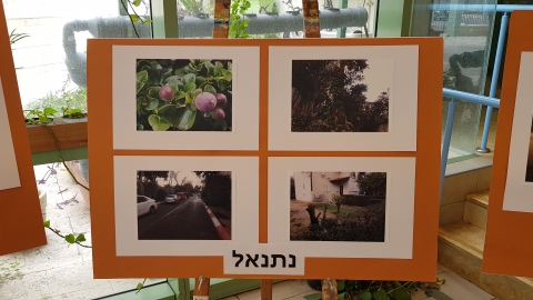 תמונות נתנאל.jpg