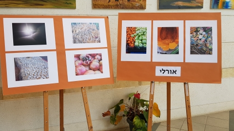 תמונות אורלי.jpg