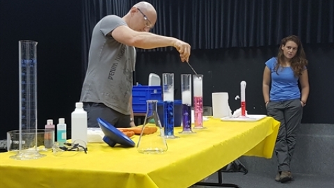 תמונת הכתבה