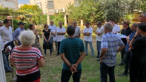 תמונת הכתבה