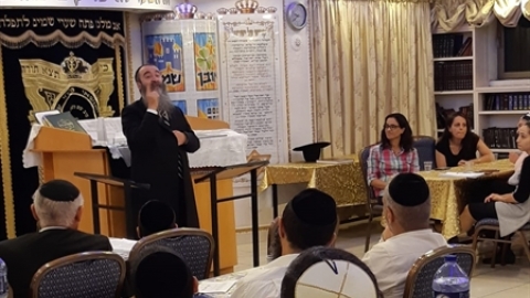 תמונת הכתבה