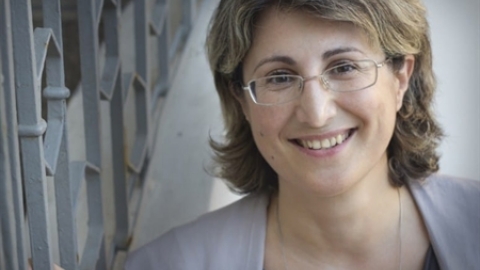 תמונת הכתבה