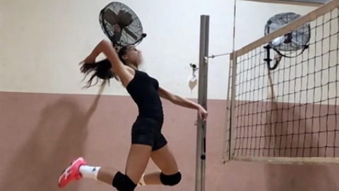 תמונת הכתבה