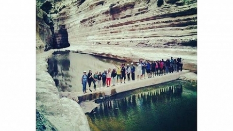 תמונת הכתבה