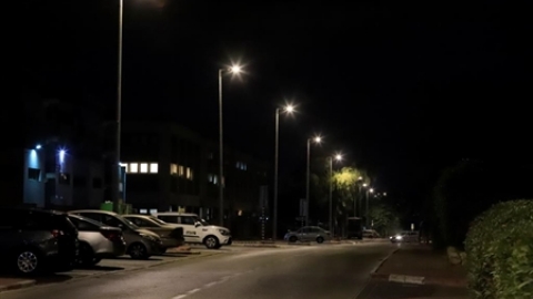 תמונת הכתבה