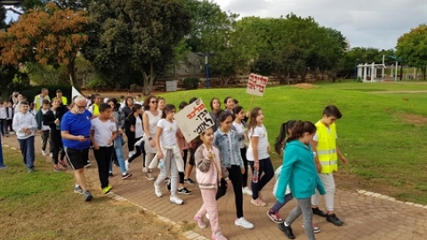 תמונת הכתבה