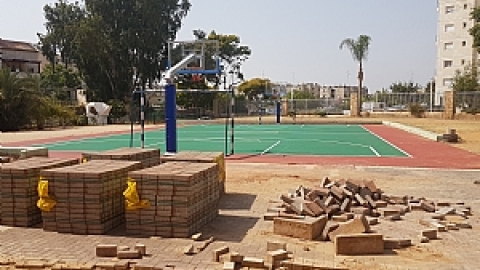 תמונת הכתבה