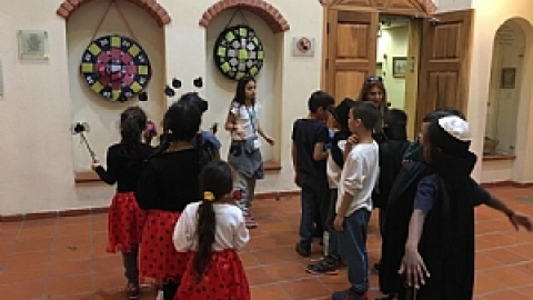 תמונת הכתבה