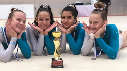 תמונת הכתבה