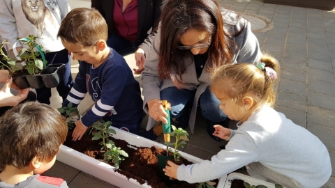 תמונת הכתבה