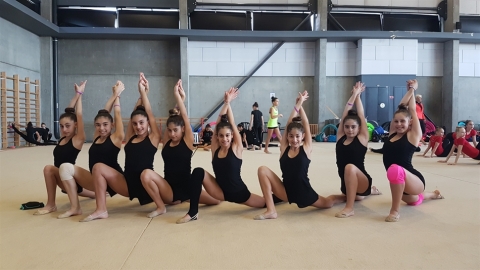 תמונת הכתבה