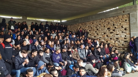 תמונת הכתבה