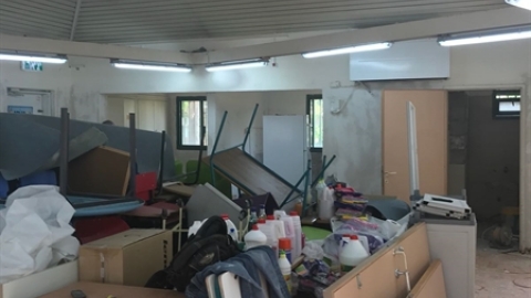 תמונת הכתבה