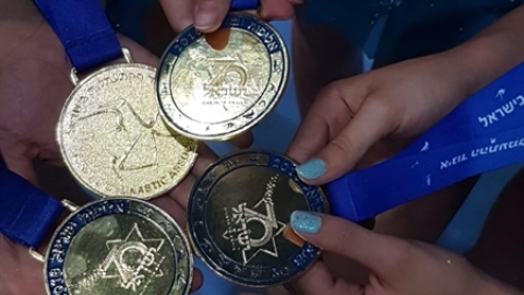 תמונת הכתבה