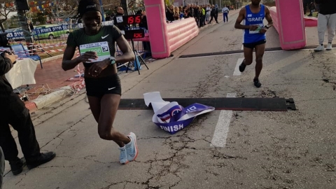 תמונת הכתבה