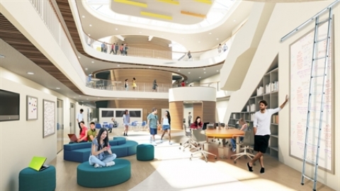 תמונת הכתבה