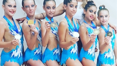 תמונת הכתבה