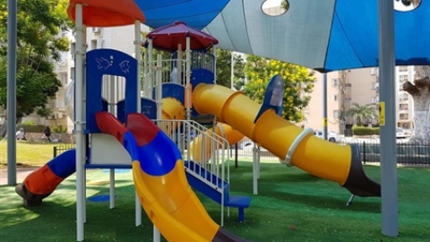 תמונת הכתבה