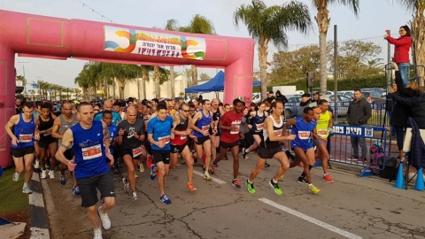 תמונת הכתבה