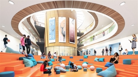 תמונת הכתבה