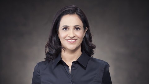 תמונת הכתבה