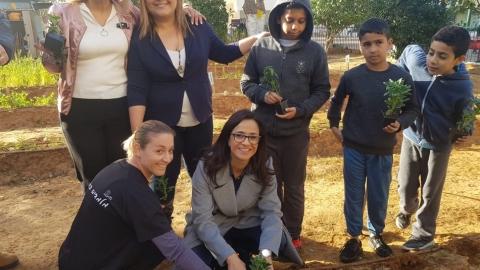 תמונת הכתבה