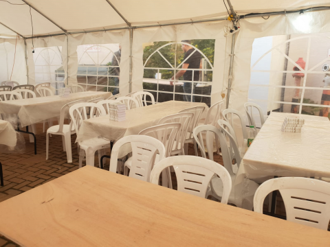 תמונת הכתבה