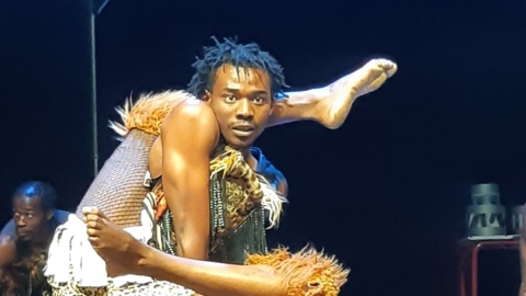 תמונת הכתבה