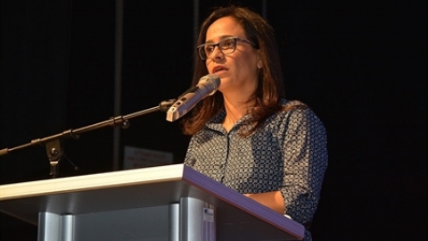 תמונת הכתבה