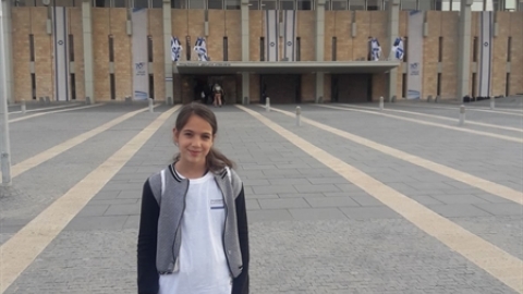 תמונת הכתבה