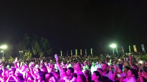 תמונת הכתבה