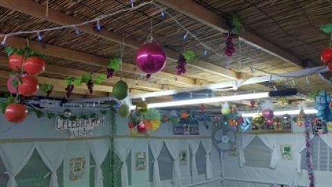 תמונת הכתבה