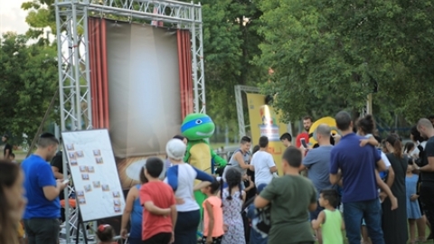 תמונת הכתבה