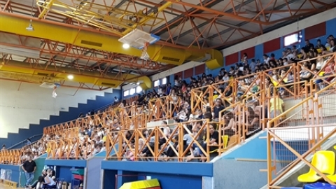 תמונת הכתבה