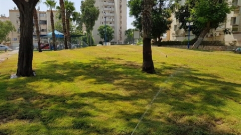 תמונת הכתבה